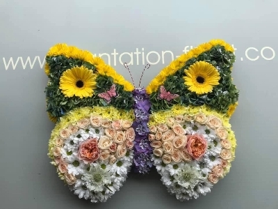 Butterfly.