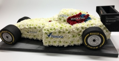 F1 Racing car   3D