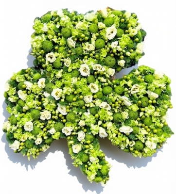 Shamrock loose.