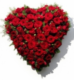 All Rose Heart