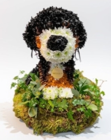 Dog   3D