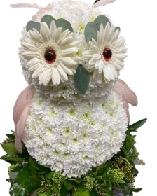 Owl.