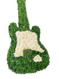 Guitar   Electric