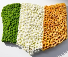 Irish Flag